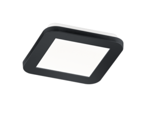 R62931032 TRIO CAMILLUS IP44